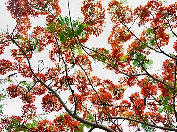 《使命召唤：战区手游》即将停更 仅推出一年多