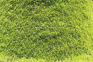 Xbox总裁：下一代主机将带来非常高端的体验